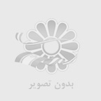 معرفي تيغچه ها